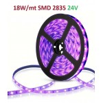 Tira LED 5 mts Flexible 24V 90W 600 Led SMD 2835 IP20 Ultravioleta, Alta Luminosidad Tira LED 5 mts Flexible 24V 90W 600 Led SMD 2835 IP20 Ultravioleta, Alta Luminosidad